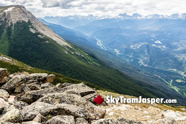 Jasper SkyTram Views from Whistlers Mountain