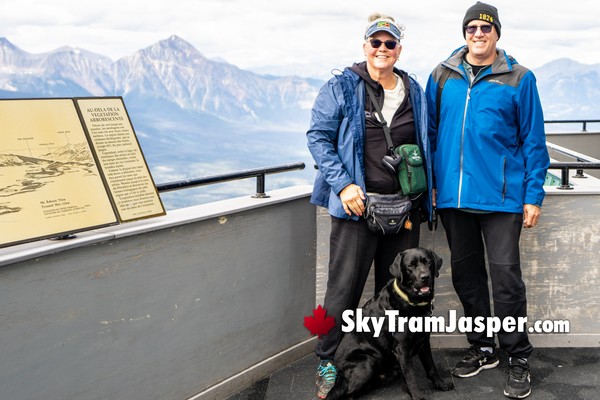 Dogs are Allowed on the SkyTram