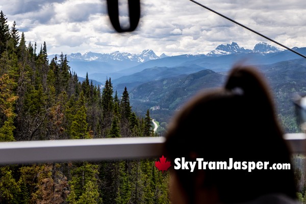 Jasper SkyTram Up Whistlers Mountain