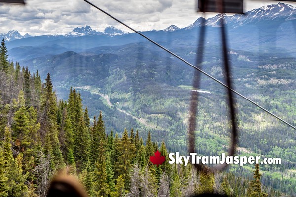 Riding Up the Jasper SkyTram