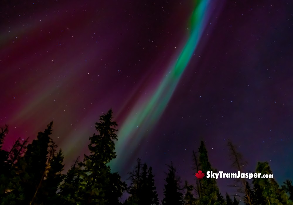 Auroras
