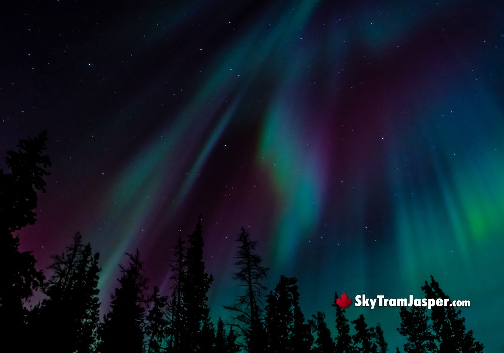 Dark Sky Auroras
