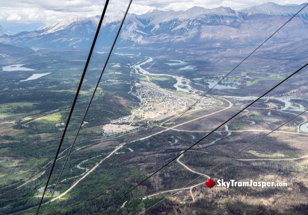 SkyTram Cables