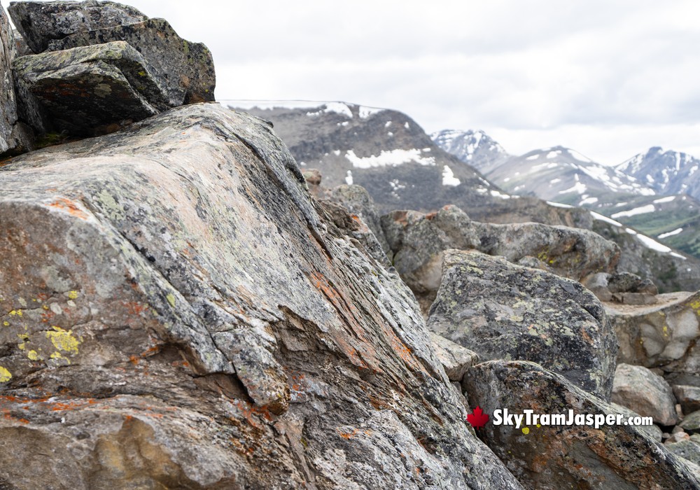 Summit Terrain