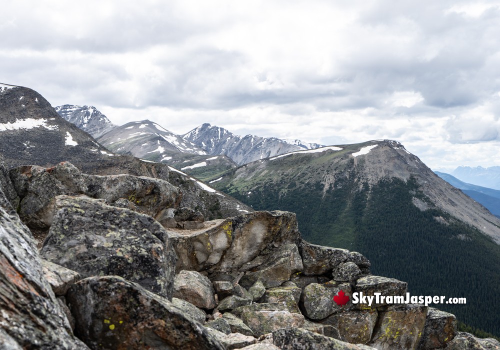 The Close Summits