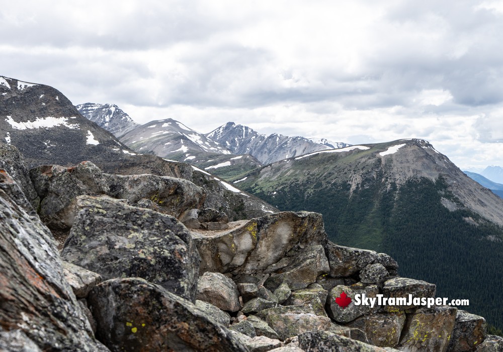 The Rocky Terrain