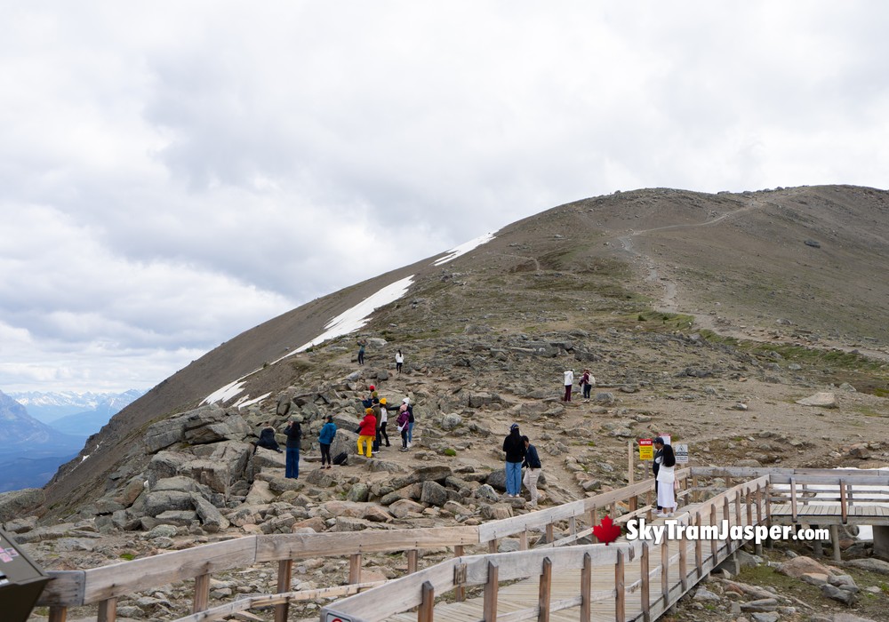 The Summit Hike