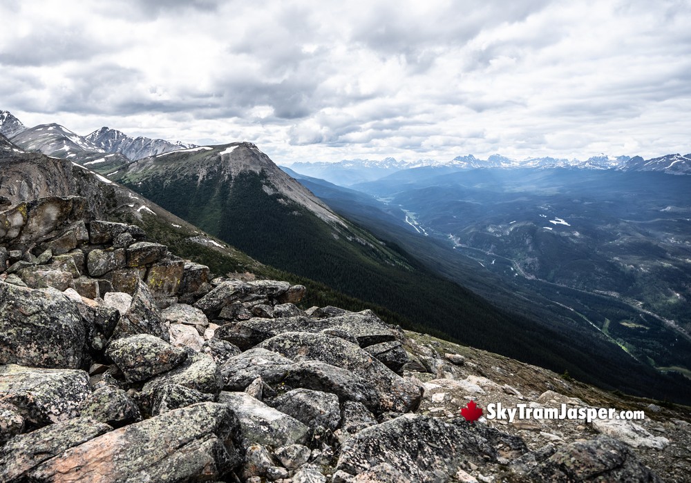 West Summit Views
