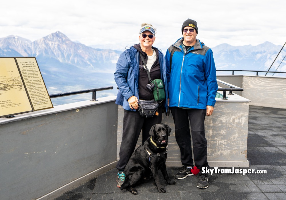 Beautiful Mountain Views where Dogs are Allowed